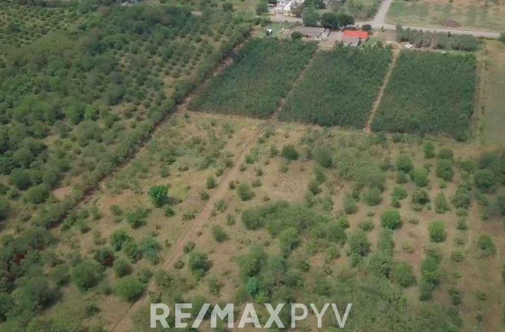 Terreno en Venta en Montemorelos cerca del Centro – 7559