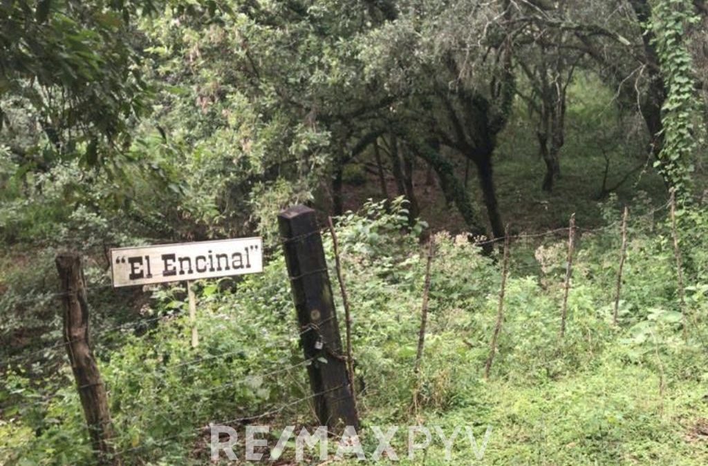 Terreno Campestre en Venta en el Barrial (El encinal 2), Santiago. -7683