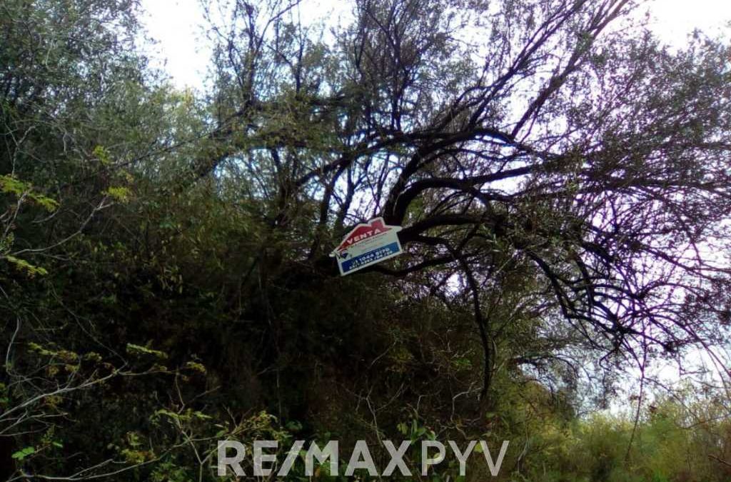 Terreno Residencial en Venta en Carretera Nacional, El Barro