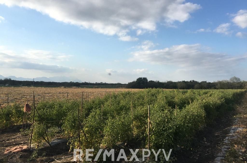 Terrenos en Venta en el Palmito, Allende. – 7697