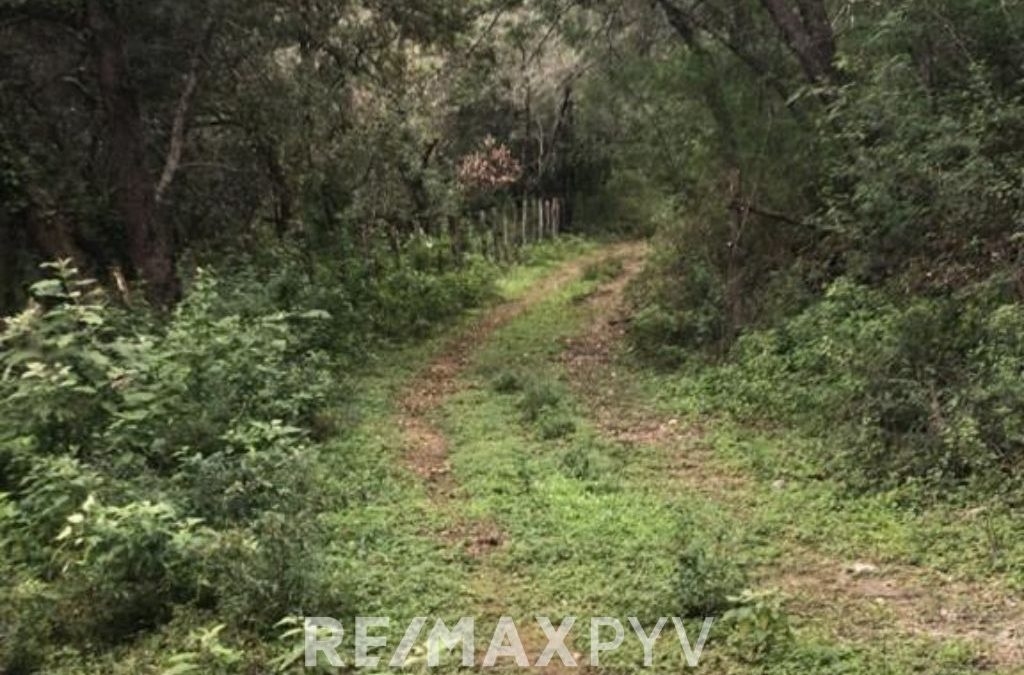 Terreno en Venta en El Barrial, Santiago NL – 6535 ( El Encinal)