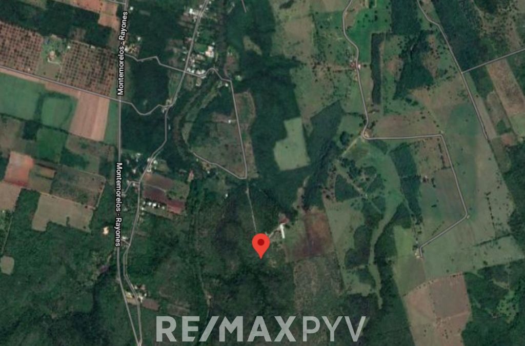 Terreno en Venta en Allende, Carretera Nacional, La Garita.- 7671